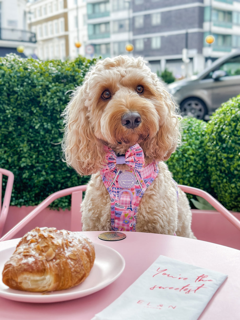 Bow Tie - Emily In Paris