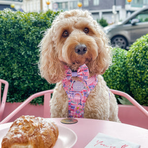 Bow Tie - Emily In Paris