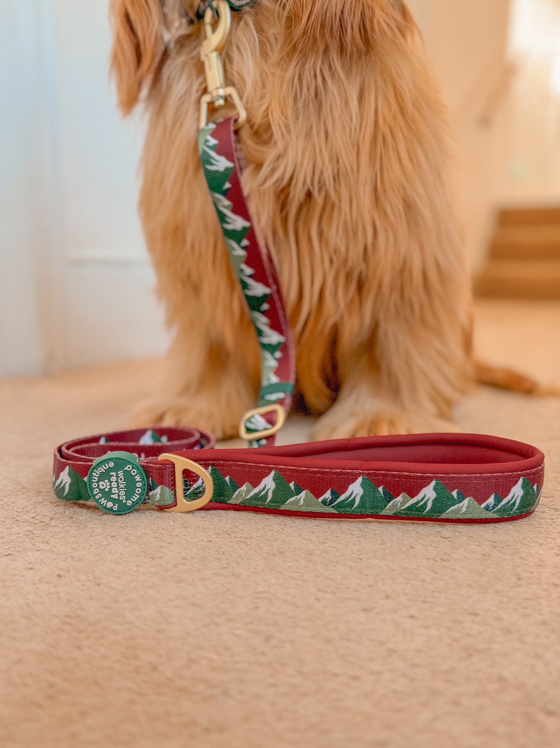 AdjustFit Lead - Walkies Ready® Snowy Mountains