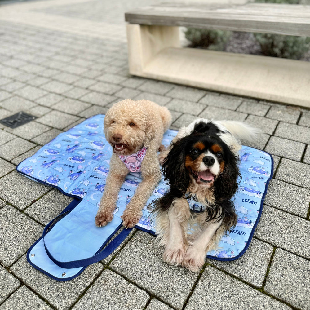 Disney© Travel Mat - Eeyore