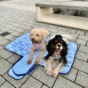 Disney© Travel Mat - Eeyore