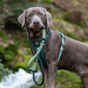 4ft Rope Lead - Walkies Ready® Forest Green