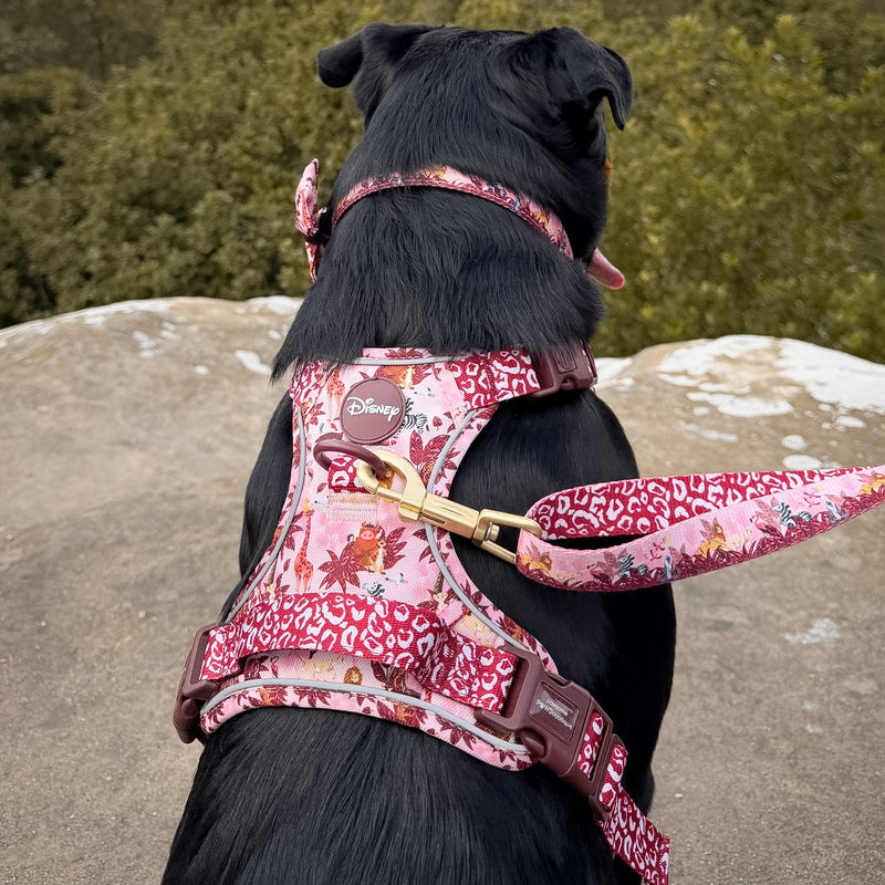 WHY CHOOSE OUR HARNESSES?-image