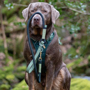 4ft Rope Lead - Walkies Ready® Forest Green