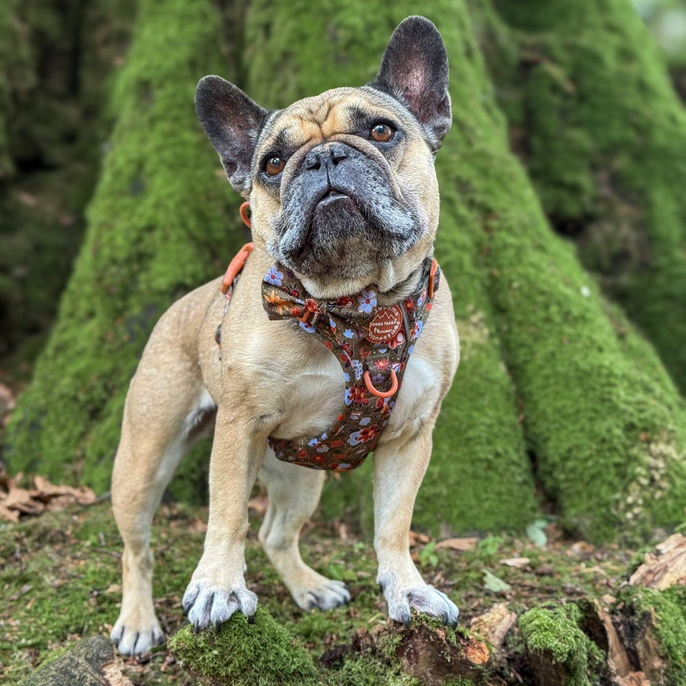 Bow Tie - Rust & Bloom