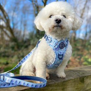 Disney© Lead - Eeyore