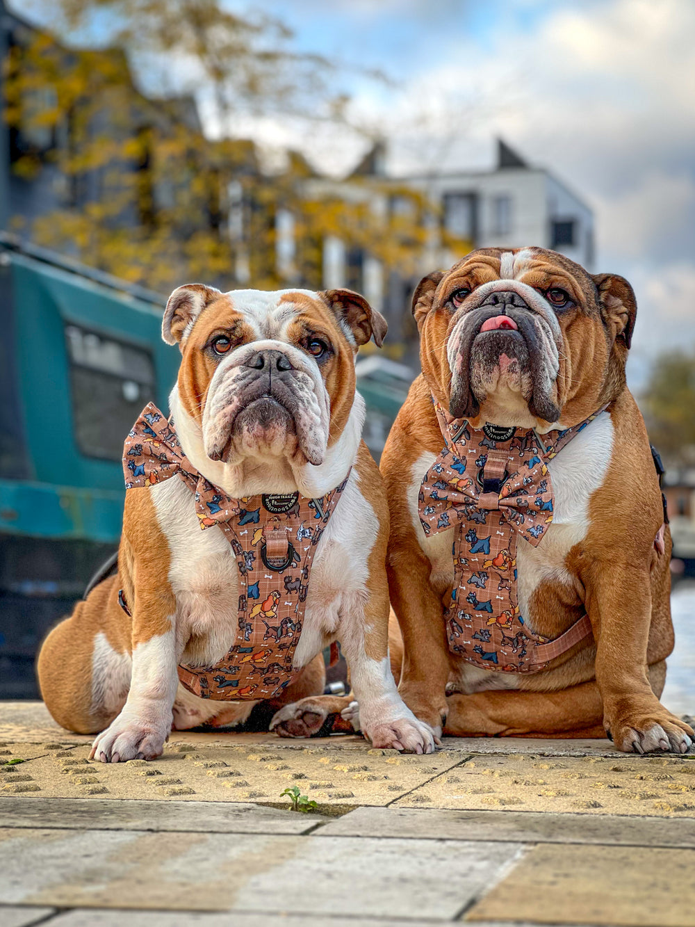 Disney© Bow Tie - Disney Dogs