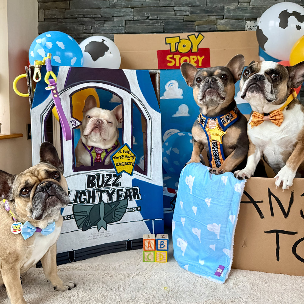 Disney© Dog Blanket - Buzz Lightyear