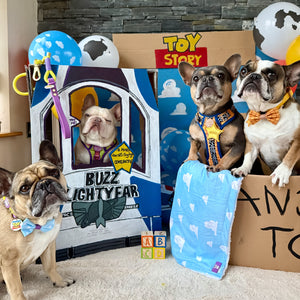 Disney© Dog Blanket - Buzz Lightyear