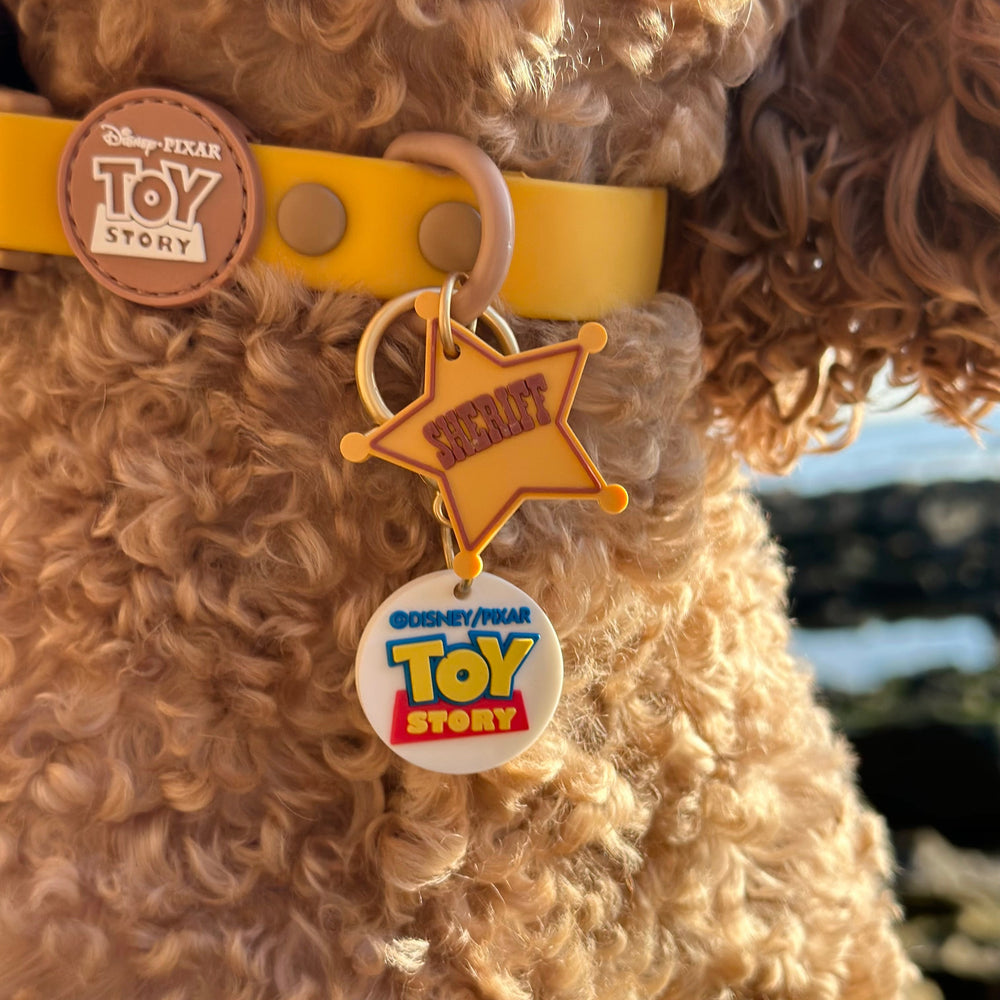 Disney© Collar/Lead Charm - Toy Story
