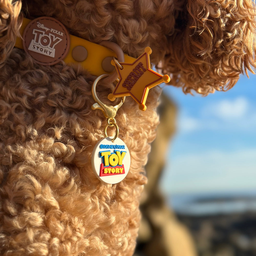 Disney© Collar/Lead Charm - Toy Story