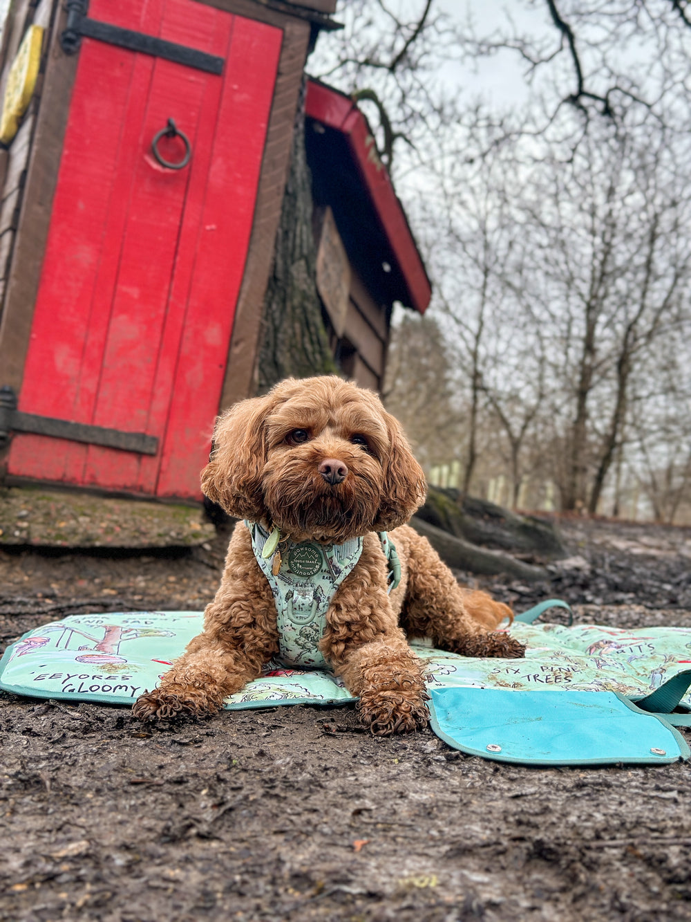 Disney© Travel Mat - 100 Aker Wood