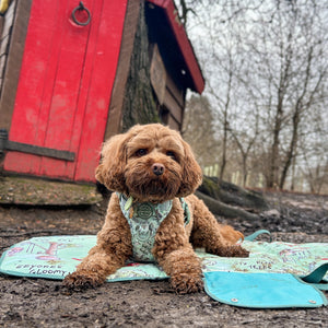 Disney© Travel Mat - 100 Aker Wood