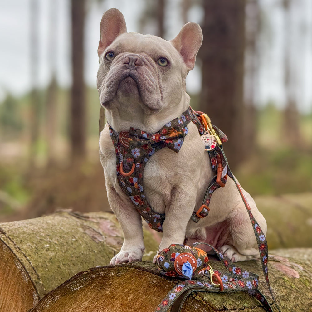 Poo Bag Holder - Rust & Bloom