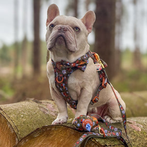 Poo Bag Holder - Rust & Bloom