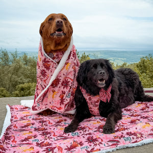 Disney© Dog Blanket - Sunset Safari