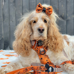 Disney© Bow Tie - Halloween