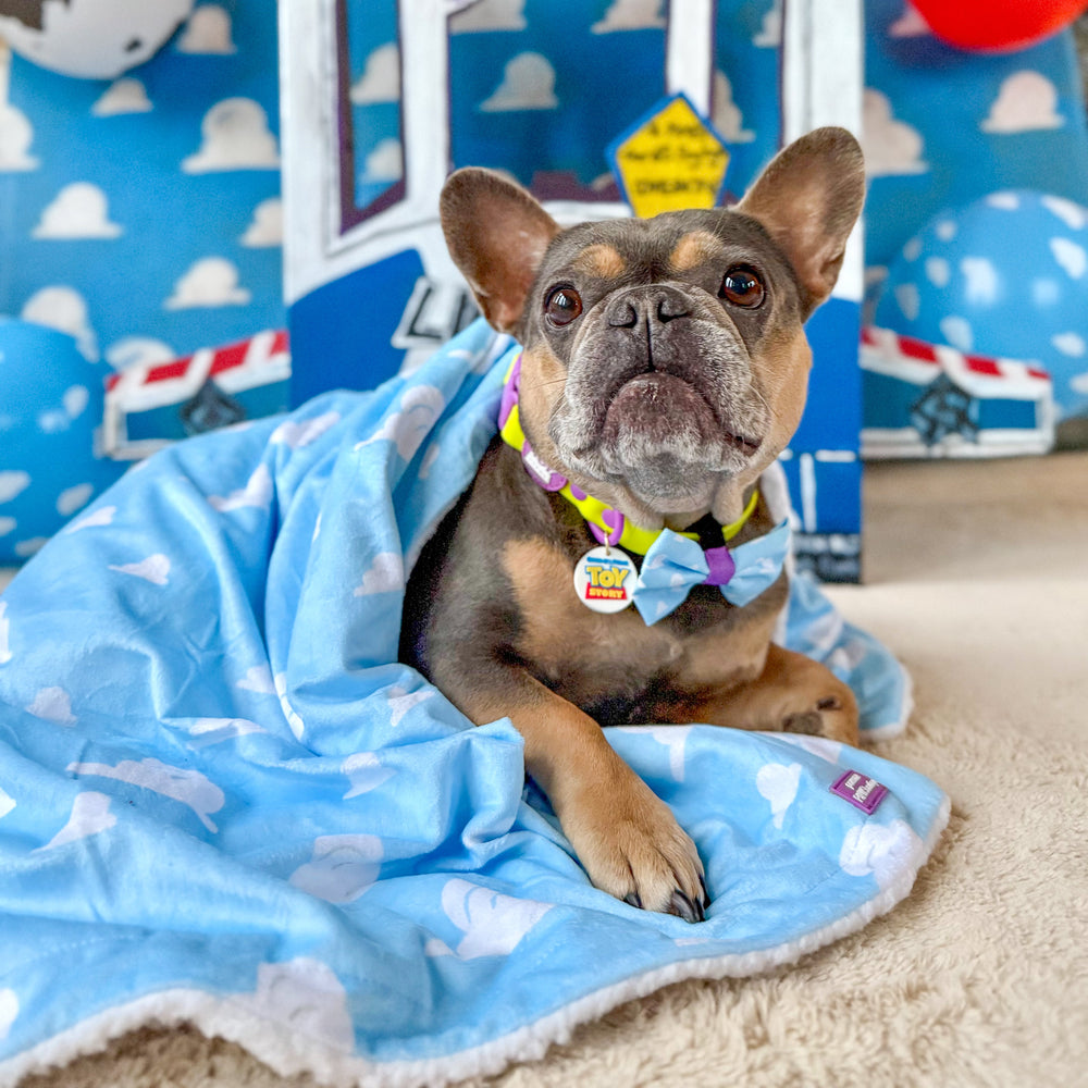Disney© Dog Blanket - Buzz Lightyear