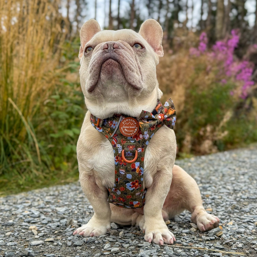 Bow Tie - Rust & Bloom