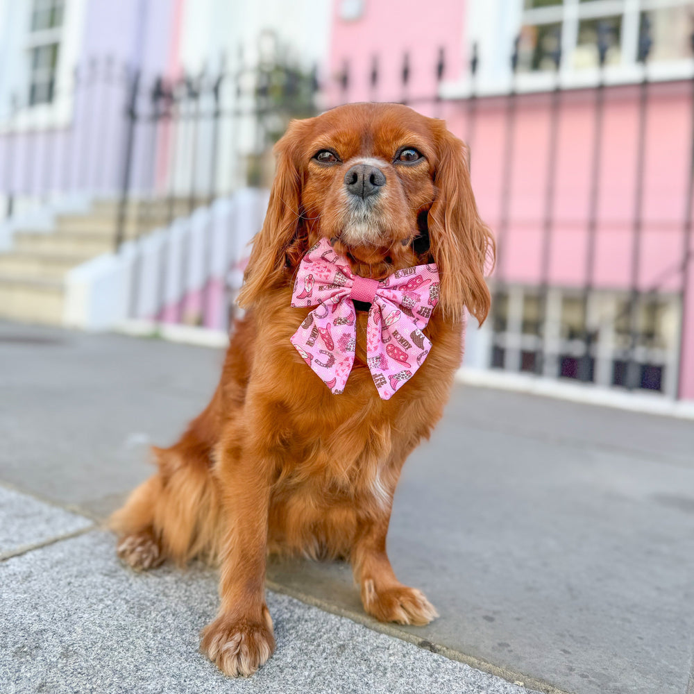 Sailor Bow Tie - Cowgirl