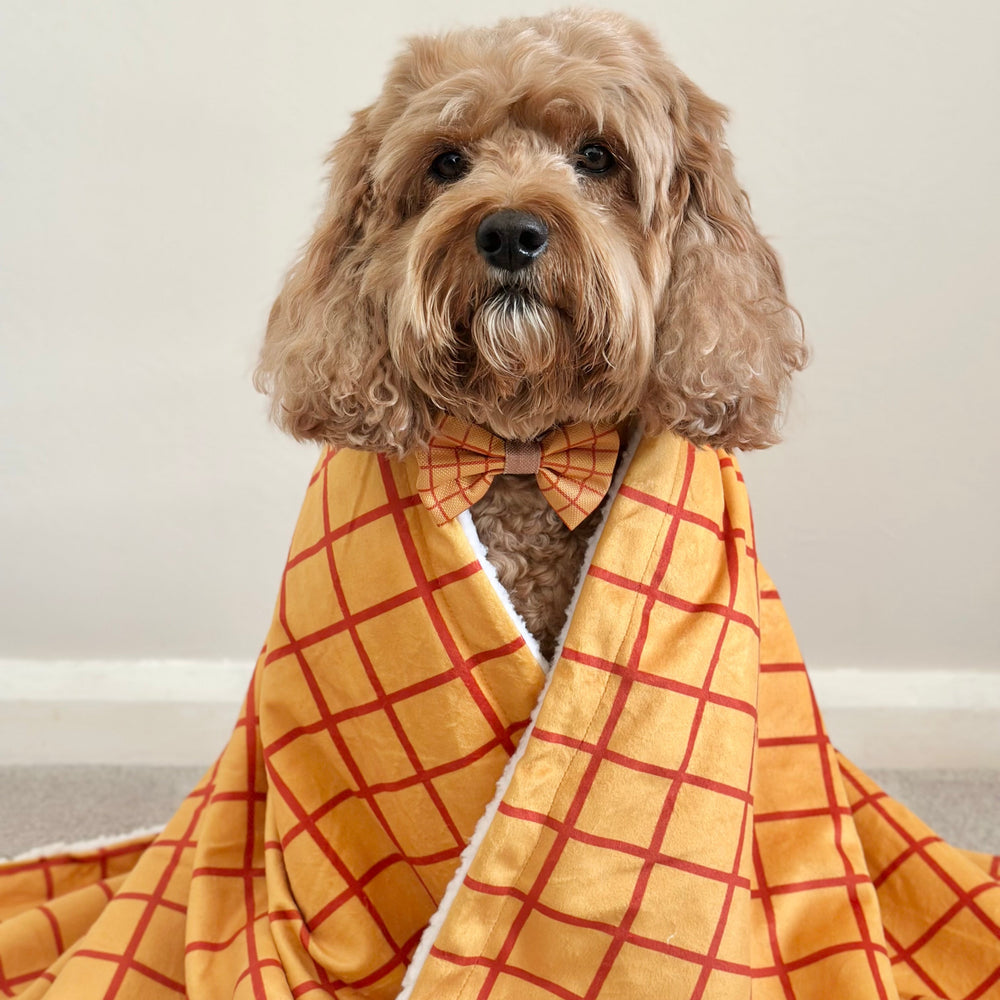 Disney© Dog Blanket - Woody
