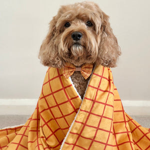 Disney© Dog Blanket - Woody