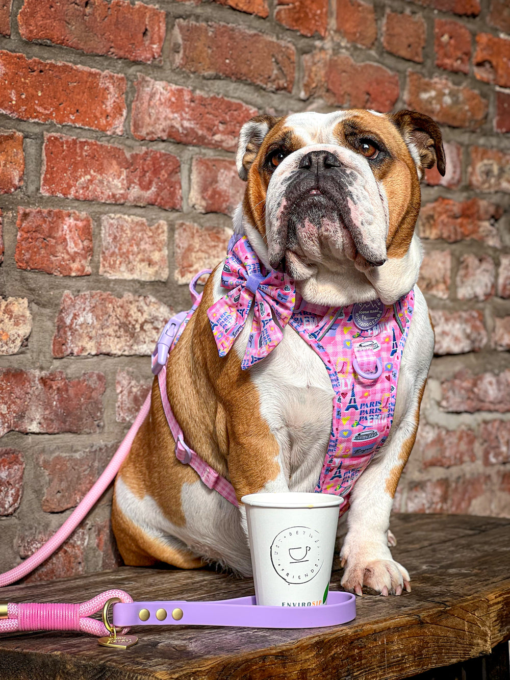 4ft Rope Lead - Emily In Paris