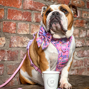 4ft Rope Lead - Emily In Paris