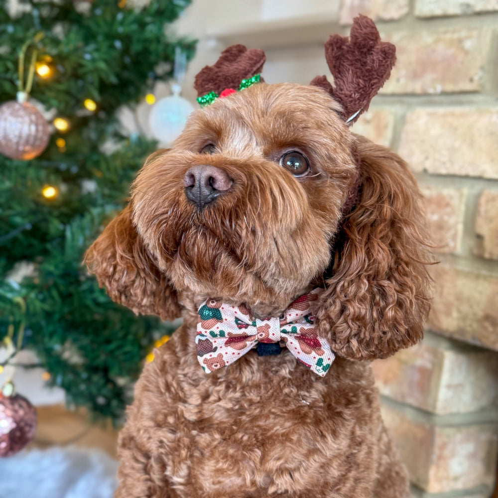 Bow Tie - Snuggle Season