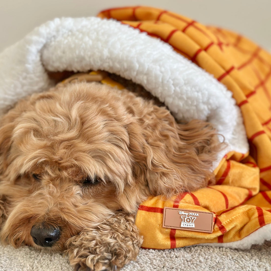 Disney© Dog Blanket - Woody