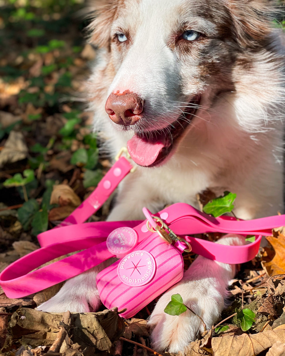 Poo Bag Holder - Walkies Ready® Raspberry Pink