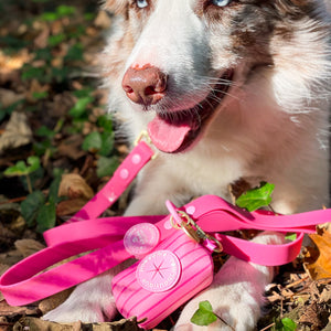 Poo Bag Holder - Walkies Ready® Raspberry Pink