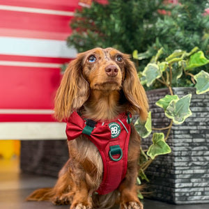 Bow Tie - Walkies Ready® - Snowy Mountains