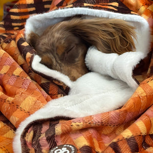 Dog Blanket - Golden Acre