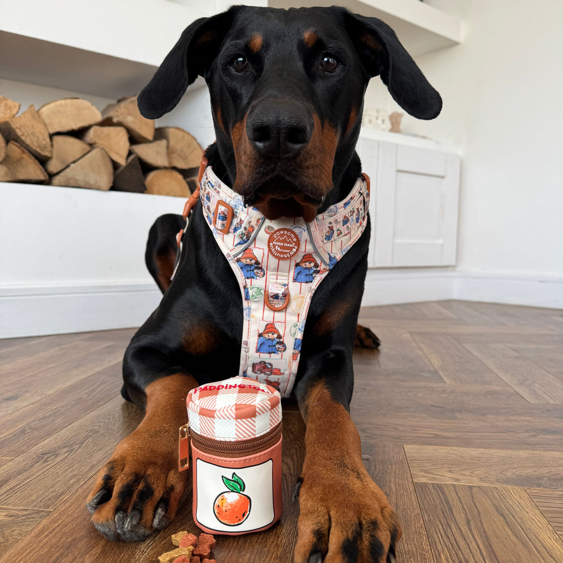 Paddington™ Treat Pouch - Marmalade
