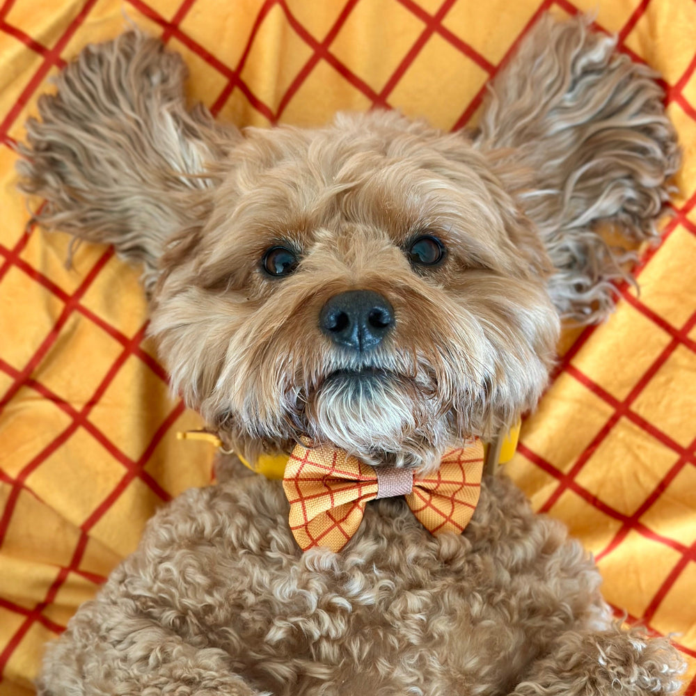 Disney© Bow Tie - Woody