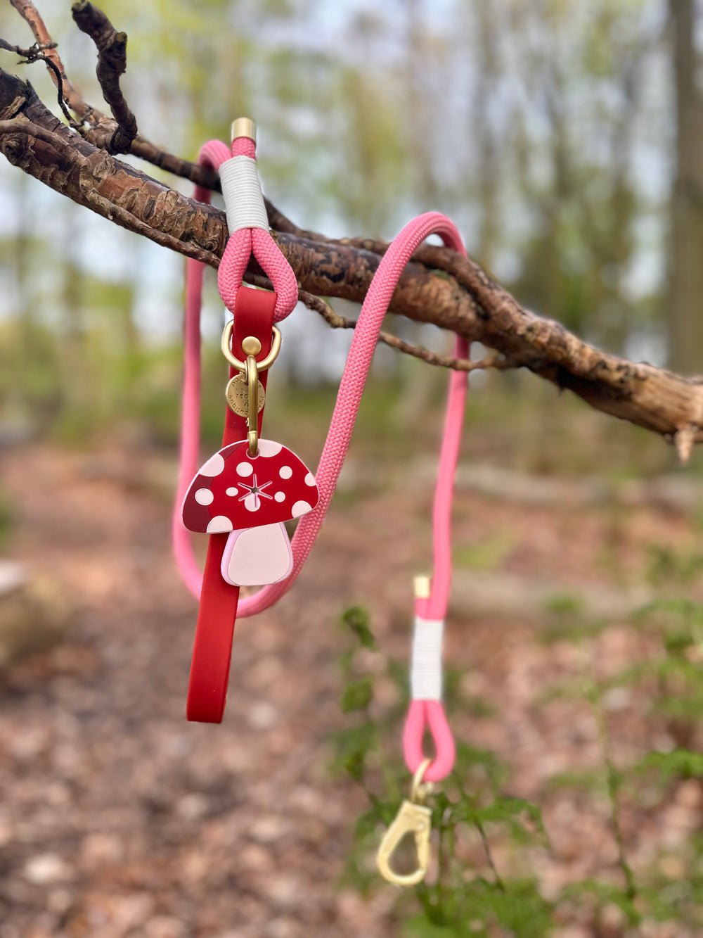 4ft Rope Lead - Red + Pink