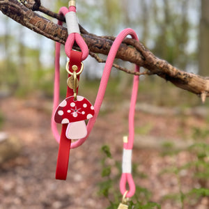 4ft Rope Lead - Red + Pink