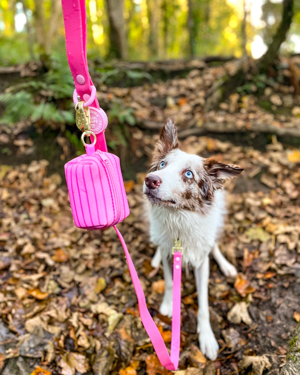 Poo Bag Holder - Walkies Ready® Raspberry Pink