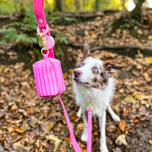 Poo Bag Holder - Walkies Ready® Raspberry Pink