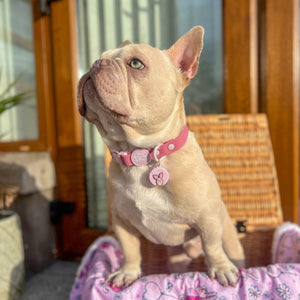 Disney© Collar/Lead Charm - Piglet