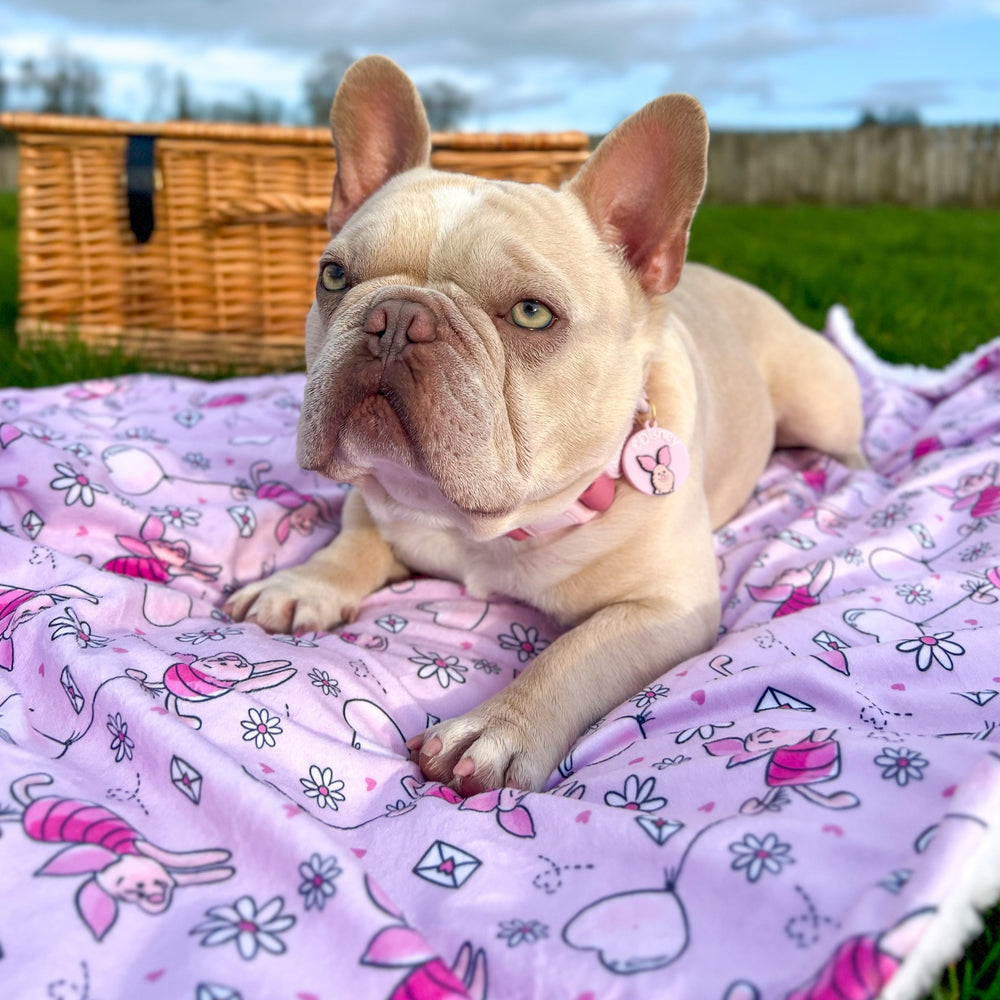 Disney© Dog Blanket - Piglet