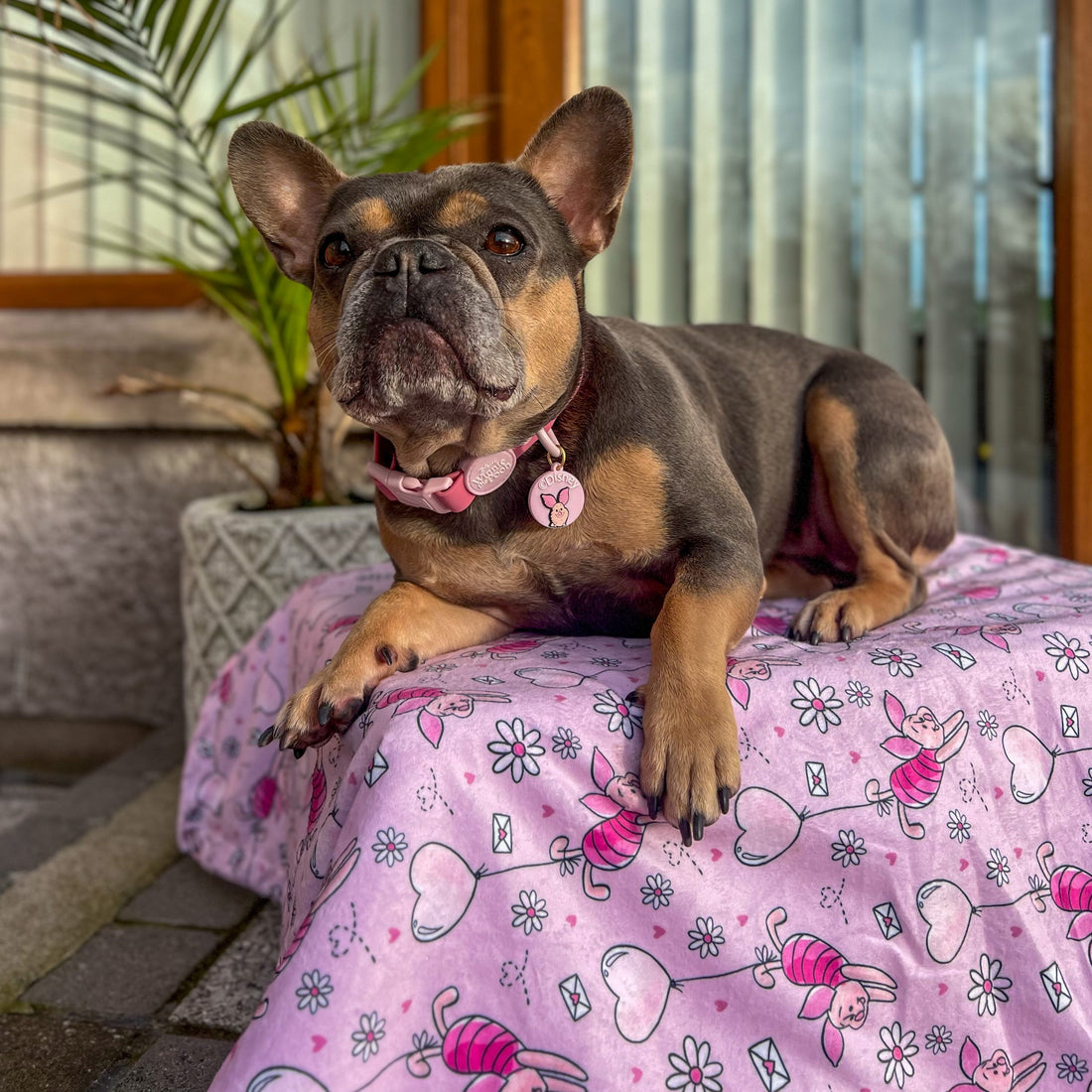 Disney© Dog Blanket - Piglet