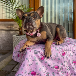 Disney© Dog Blanket - Piglet