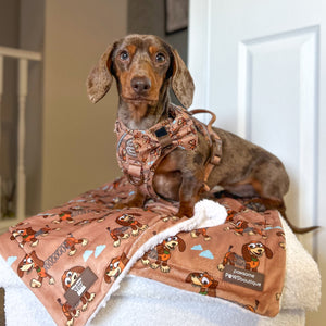 Disney© Bow Tie - Slinky