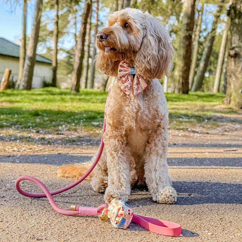 4ft Rope Lead - Pretty Pink