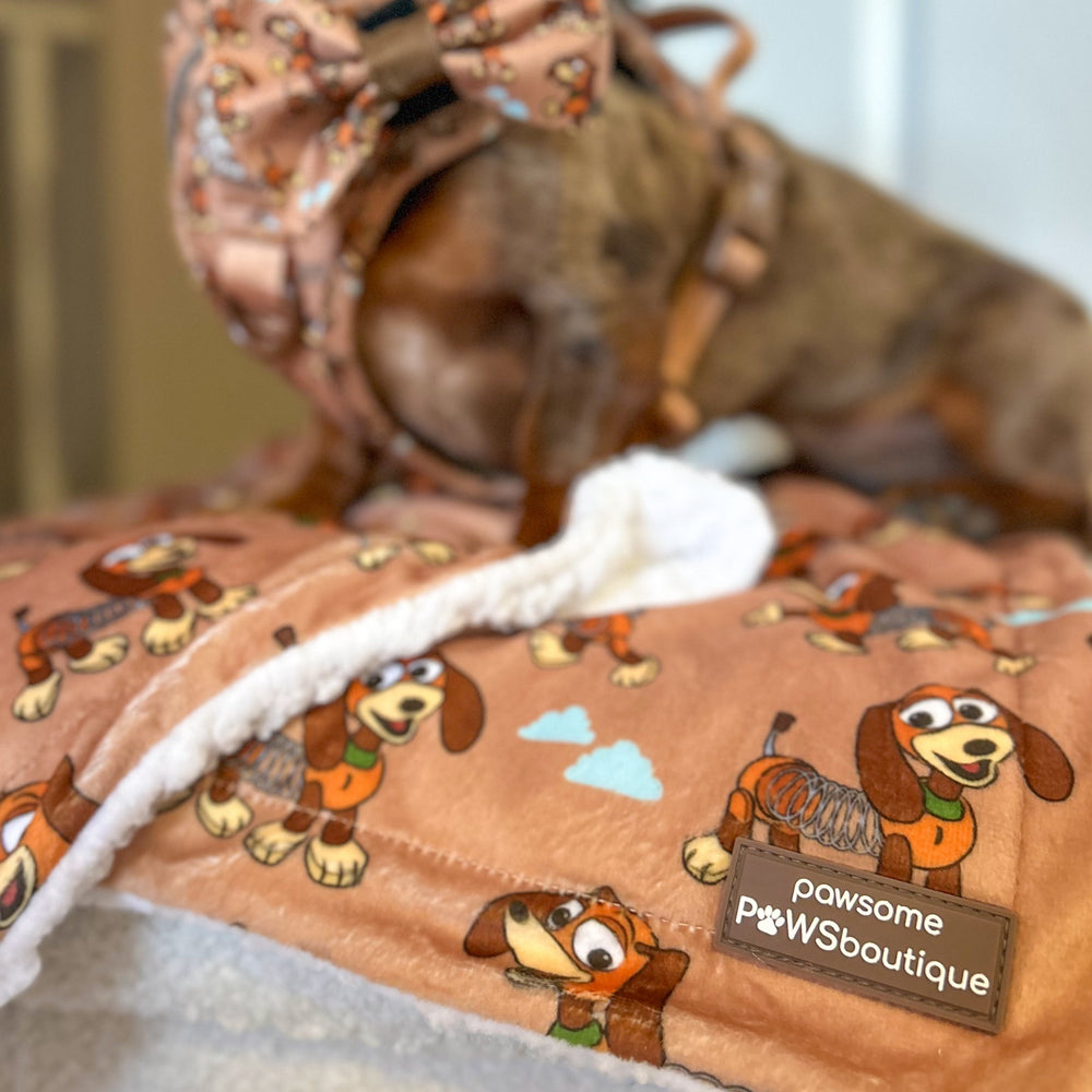 Disney© Dog Blanket - Slinky