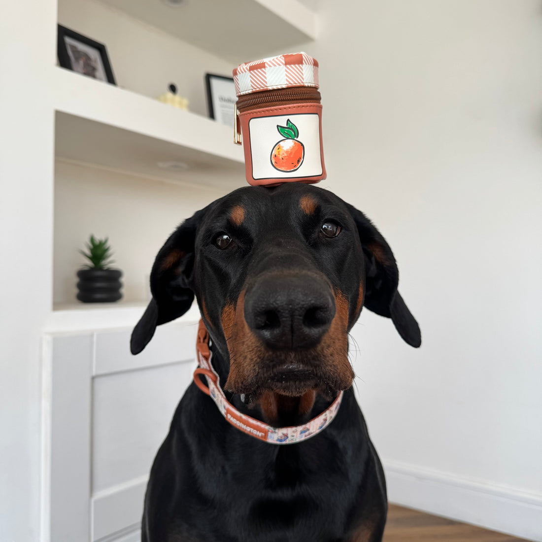 Paddington™ Treat Pouch - Marmalade