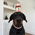 Paddington™ Treat Pouch - Marmalade