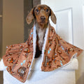 Disney© Dog Blanket - Slinky